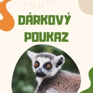 Dárkový poukaz (2 dospělí + 1 dítě)