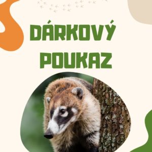 Dárkový poukaz (1 dospělý + 2 děti)