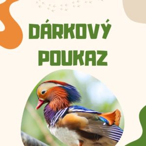 Dárkový poukaz (1 dospělý + 1 dítě)