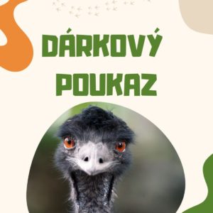 Dárkový poukaz - Vstupenka 2 dospělí