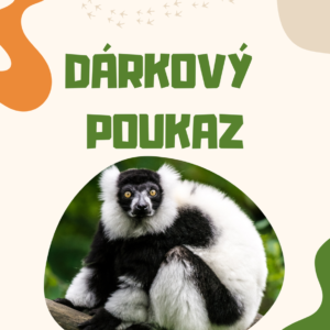 VIP dárkový poukaz pro dvě osoby